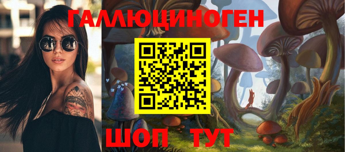 Волжск  Псилоцибиновые грибы прущие грибы  как найти закладки  Вход с VPN 